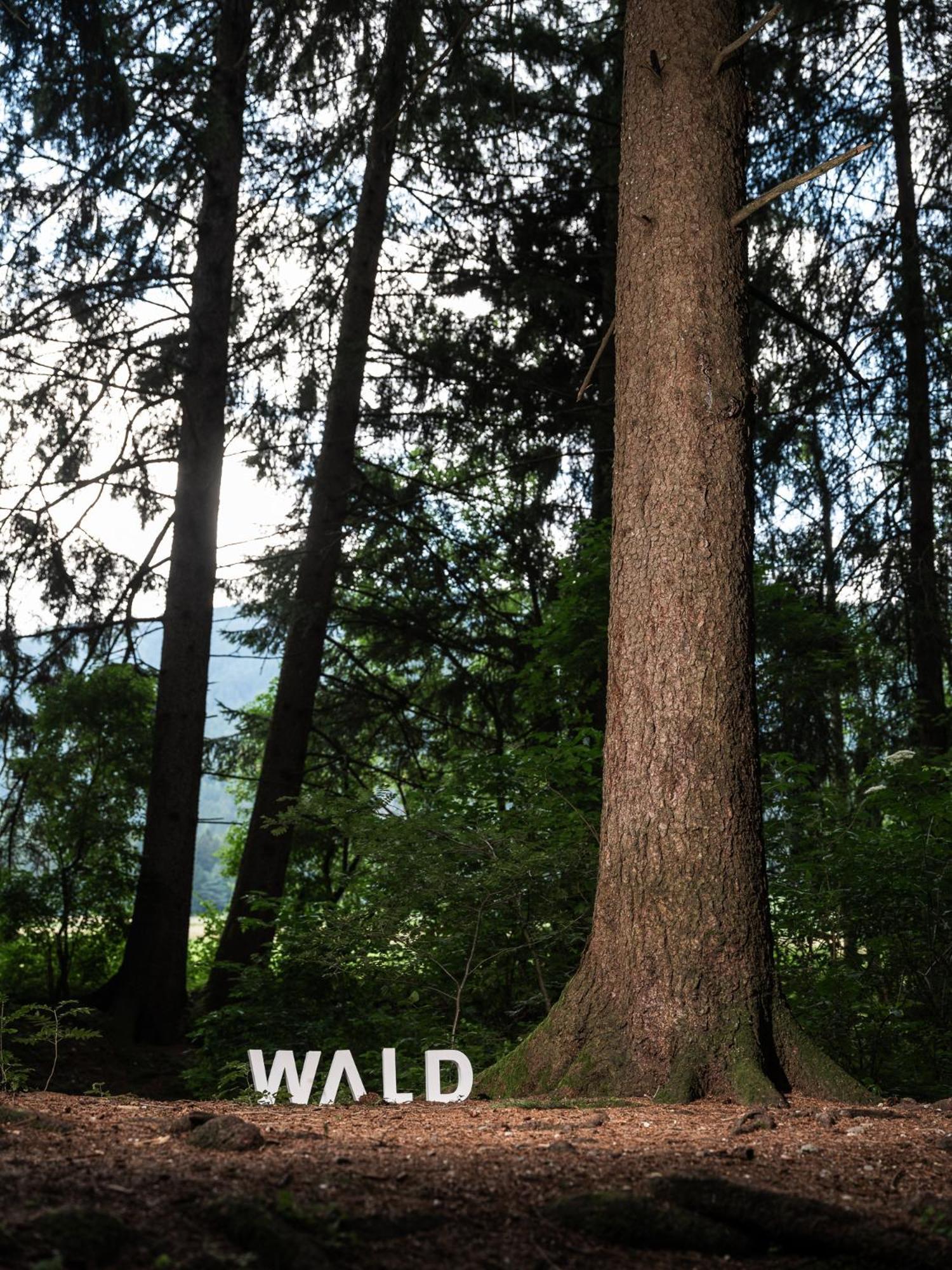 Hotel Frida Am Wald Rasùn di Sotto Esterno foto